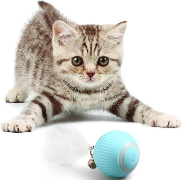 Rotating Cat Toy Ball, Interactive Cat Toys Rechargeable Rotating Ball with LED